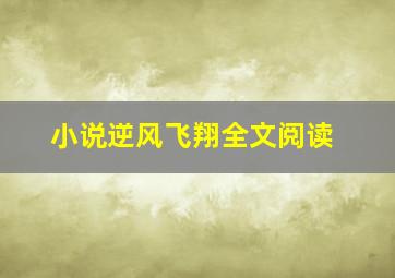 小说逆风飞翔全文阅读