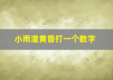 小雨湿黄昏打一个数字