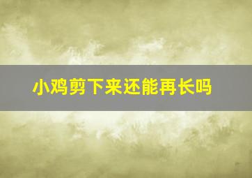 小鸡剪下来还能再长吗