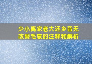 少小离家老大还乡音无改鬓毛衰的注释和解析