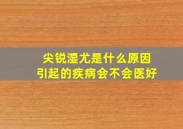 尖锐湿尤是什么原因引起的疾病会不会医好