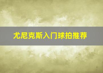 尤尼克斯入门球拍推荐