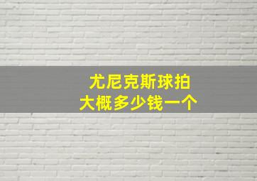 尤尼克斯球拍大概多少钱一个