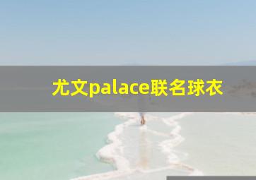 尤文palace联名球衣