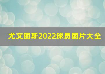 尤文图斯2022球员图片大全