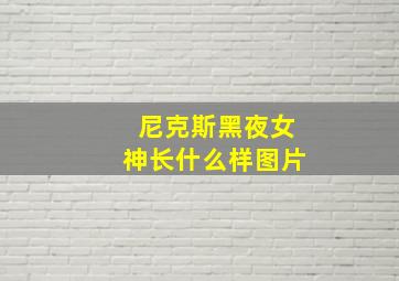 尼克斯黑夜女神长什么样图片