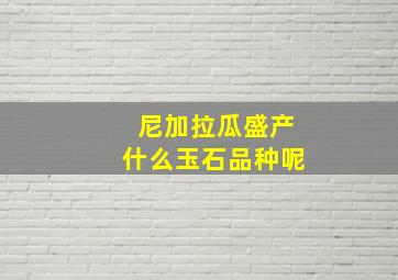 尼加拉瓜盛产什么玉石品种呢