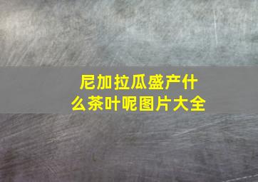 尼加拉瓜盛产什么茶叶呢图片大全