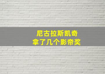 尼古拉斯凯奇拿了几个影帝奖