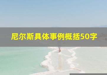 尼尔斯具体事例概括50字