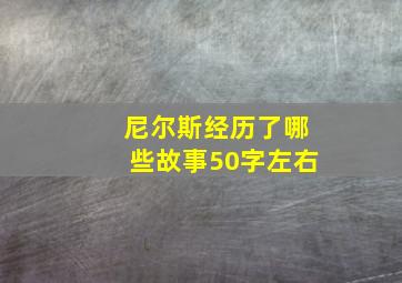 尼尔斯经历了哪些故事50字左右