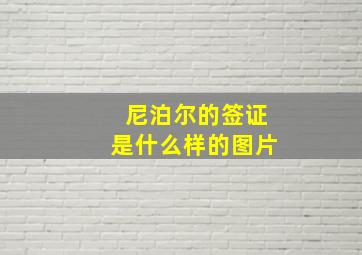 尼泊尔的签证是什么样的图片