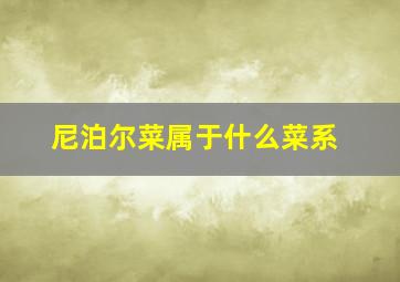 尼泊尔菜属于什么菜系