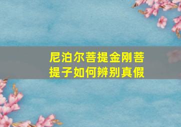 尼泊尔菩提金刚菩提子如何辨别真假