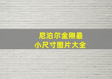 尼泊尔金刚最小尺寸图片大全