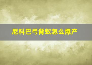 尼科巴弓背蚁怎么爆产