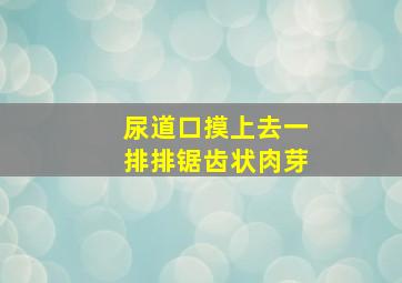 尿道口摸上去一排排锯齿状肉芽