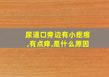 尿道口旁边有小疙瘩,有点痒,是什么原因