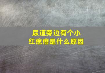 尿道旁边有个小红疙瘩是什么原因