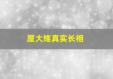 屋大维真实长相