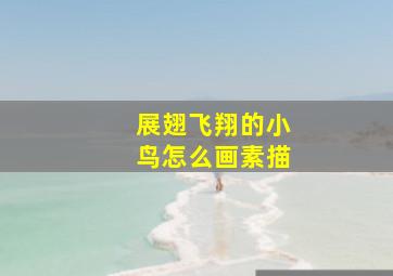 展翅飞翔的小鸟怎么画素描