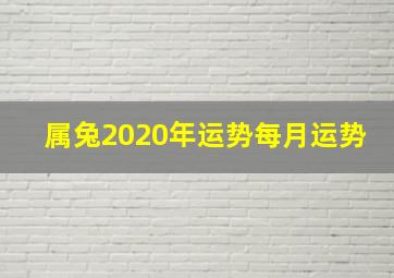 属兔2020年运势每月运势