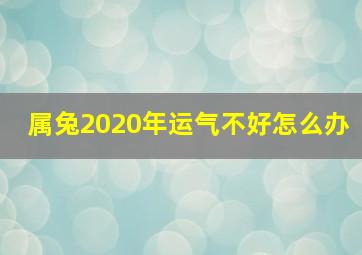 属兔2020年运气不好怎么办