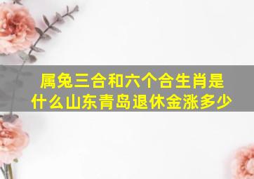 属兔三合和六个合生肖是什么山东青岛退休金涨多少