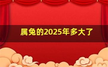 属兔的2025年多大了