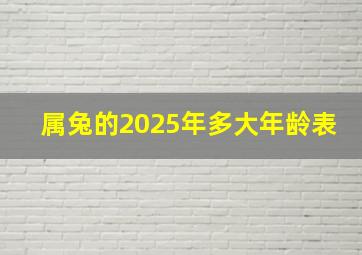 属兔的2025年多大年龄表