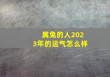 属兔的人2023年的运气怎么样