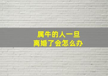 属牛的人一旦离婚了会怎么办