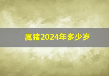 属猪2024年多少岁