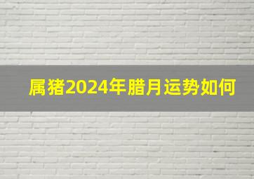 属猪2024年腊月运势如何