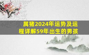 属猪2024年运势及运程详解59年出生的男孩