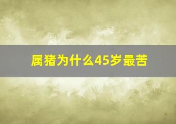 属猪为什么45岁最苦