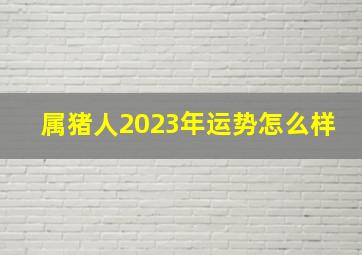 属猪人2023年运势怎么样