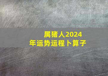 属猪人2024年运势运程卜算子