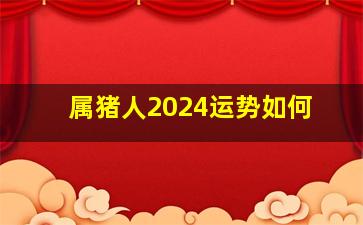 属猪人2024运势如何