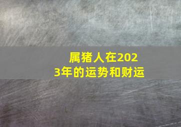 属猪人在2023年的运势和财运