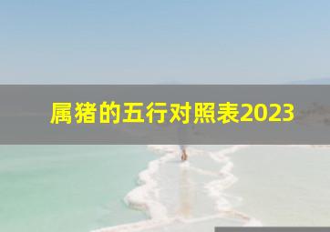 属猪的五行对照表2023