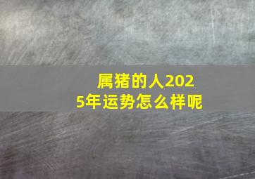 属猪的人2025年运势怎么样呢