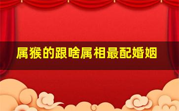 属猴的跟啥属相最配婚姻