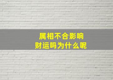 属相不合影响财运吗为什么呢