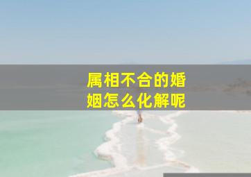 属相不合的婚姻怎么化解呢