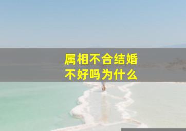 属相不合结婚不好吗为什么