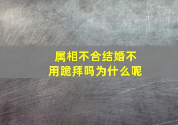 属相不合结婚不用跪拜吗为什么呢