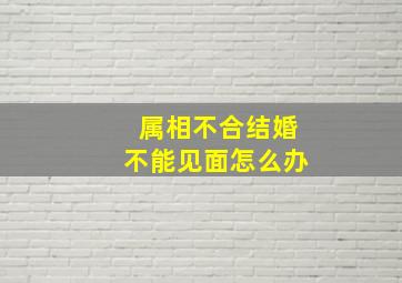 属相不合结婚不能见面怎么办