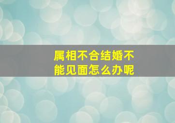 属相不合结婚不能见面怎么办呢