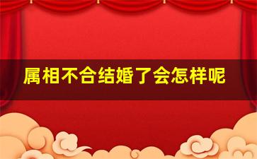 属相不合结婚了会怎样呢